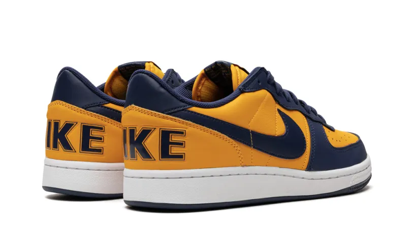 Nike Basketball Terminator Low OG 'Michigan'